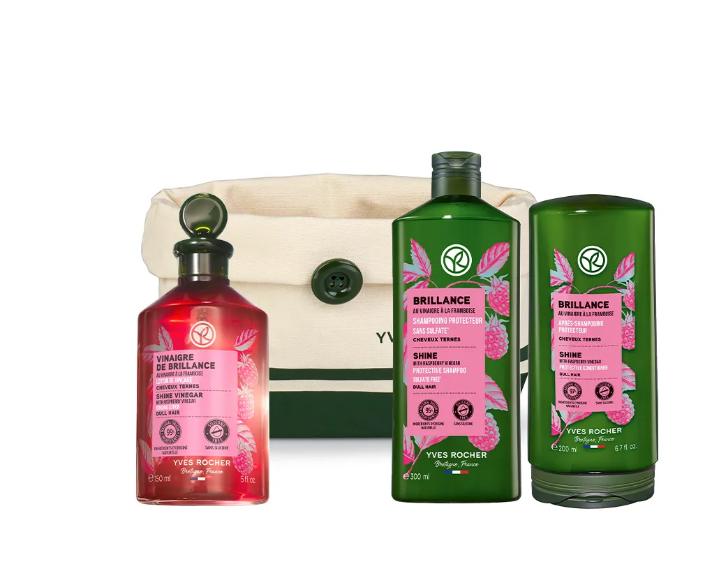 Kit "Shine and Color Protection